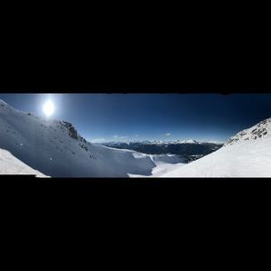 Meet your Posher, Lily